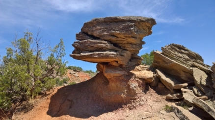 Cool Rocks on Rock Garden Trail