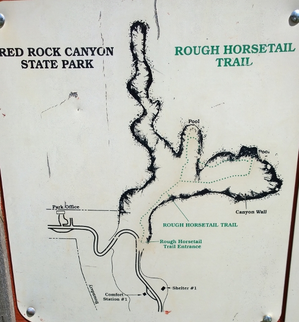 Rough Horsetail Trail