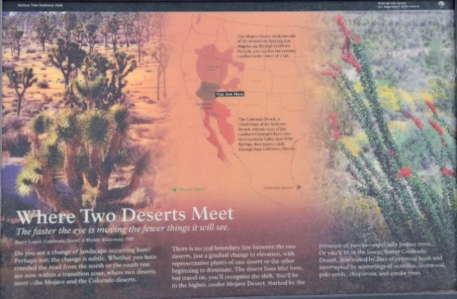 Mojave and Colorado Deserts