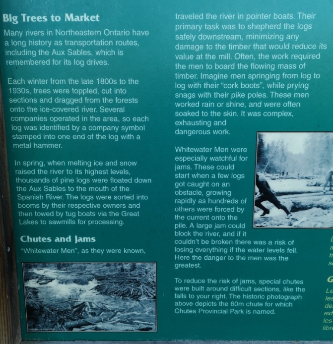 Logging History through Chutes Waterfall